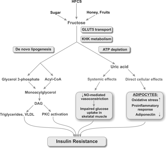 Type 2 diabetes